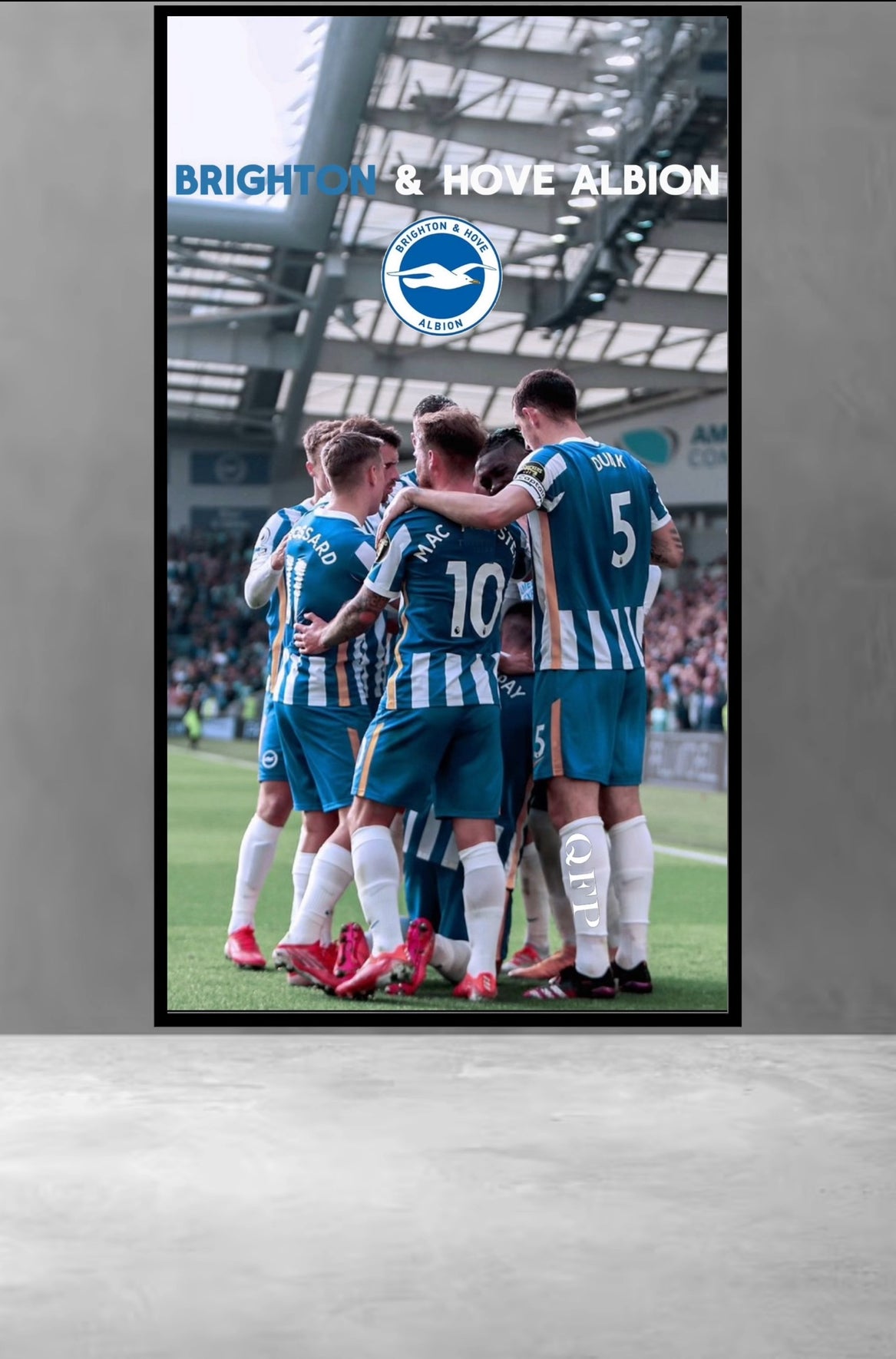 Brighton Hove & Albion Posters (Not all included)